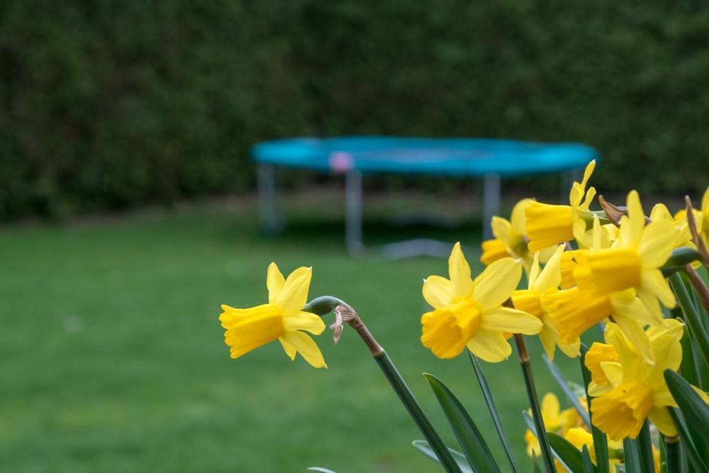 Groepsaccommodatie Kom In De Bedstee Sprookje ウィンタースウェイク エクステリア 写真